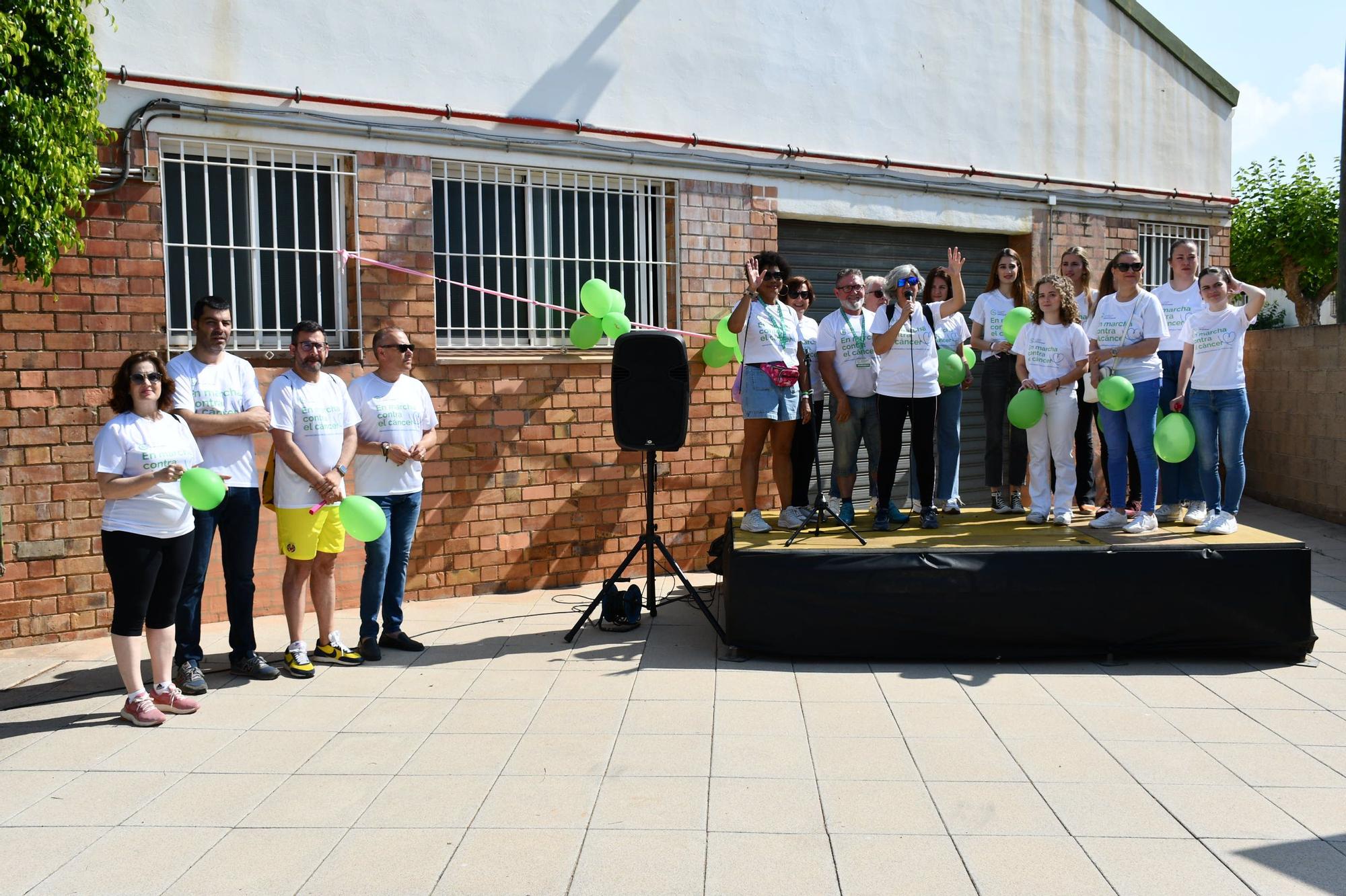 Todas las fotos de la marcha contra el cáncer de Vila-real