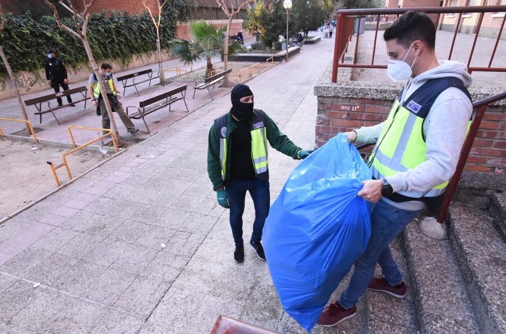 Hallan 300 plantas de marihuana en una casa del barrio del Infante de Murcia