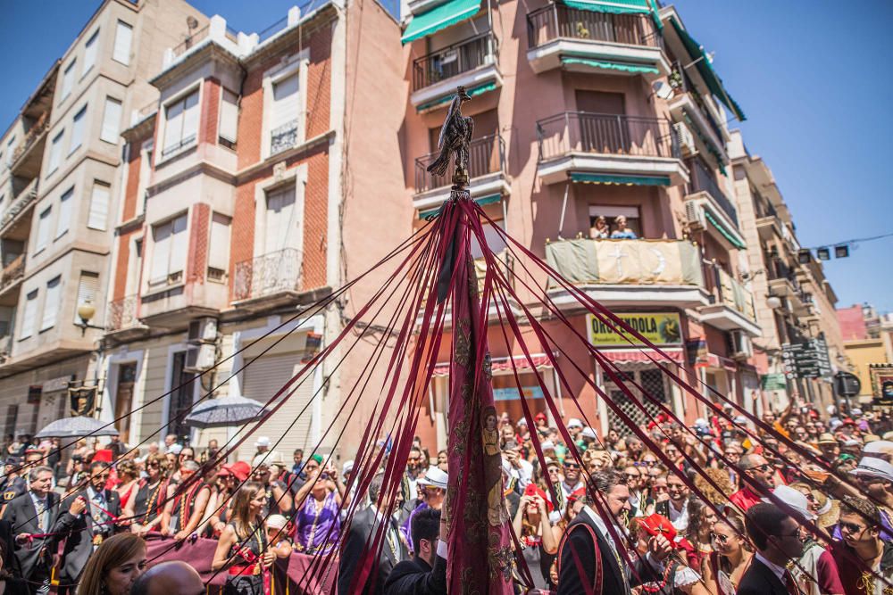 Pájaro Oriol en Orihuela