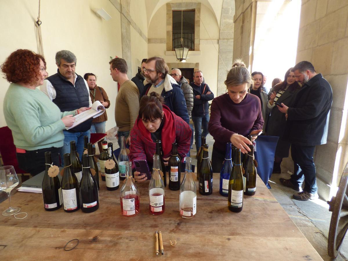 Los miembros del jurado fotografían las botellas de los vinos ganadores.