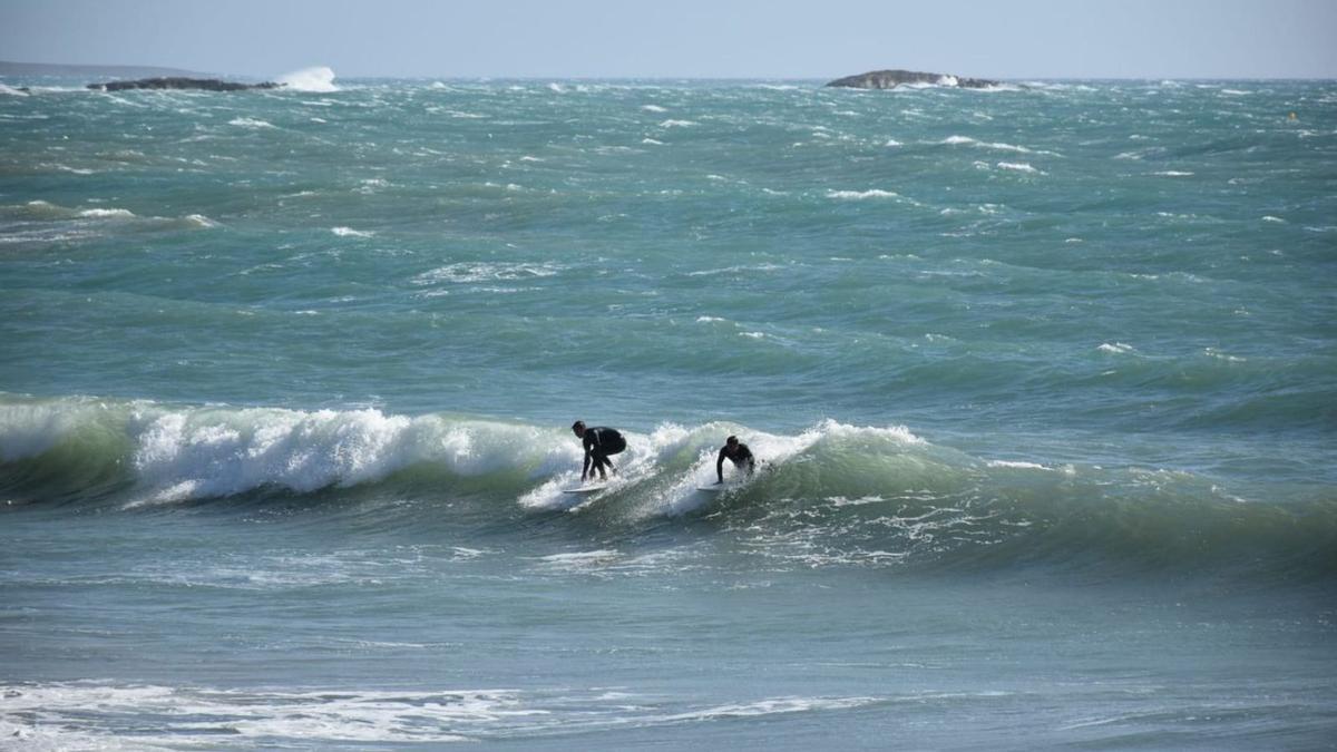 Dos jóvenes hacen surf en ses Salines, con un fuerte oleaje.
