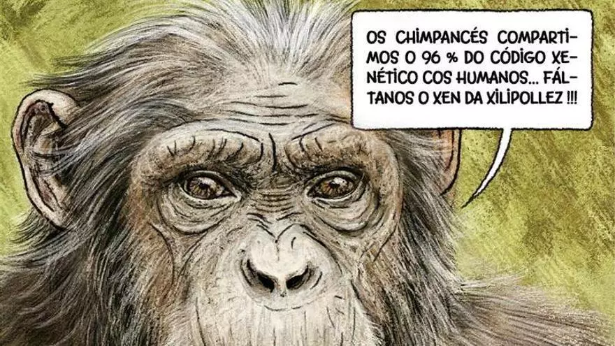 A Silveira de Kiko da Silva, 17 de abril de 2026