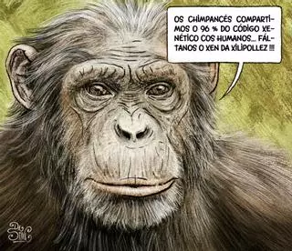 A Silveira de Kiko da Silva, 17 de abril de 2026