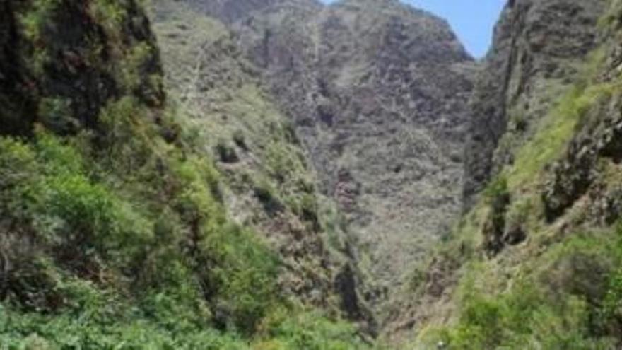 Imagen del Barranco de Badajoz en Tenerife