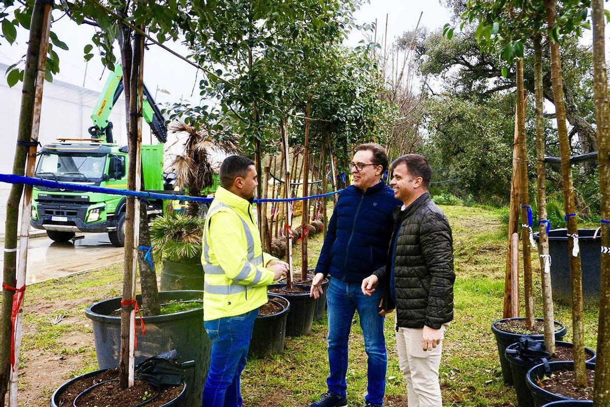 Las especies seleccionadas para su plantación se caracterizan, según el Consistorio, por su buena adaptación al clima de Marbella.
