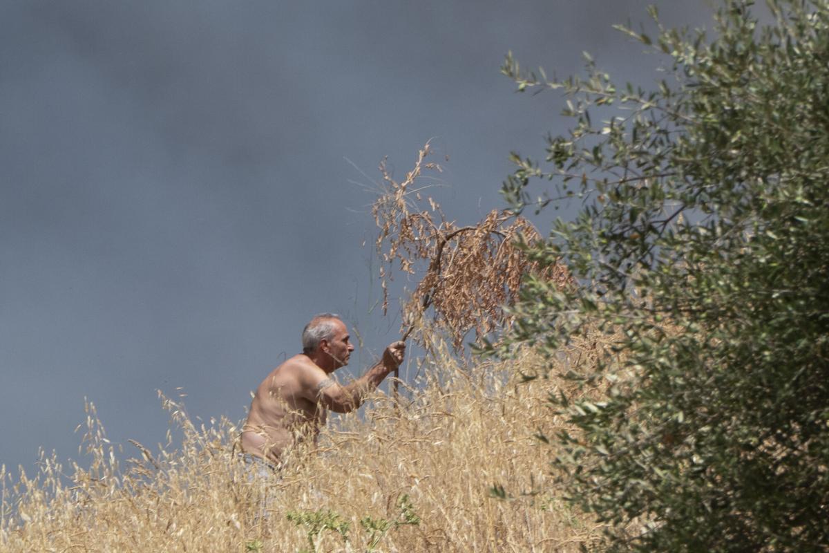 Imagen del incendio en la zona del Cerro del Carambolo en Camas (Sevilla).