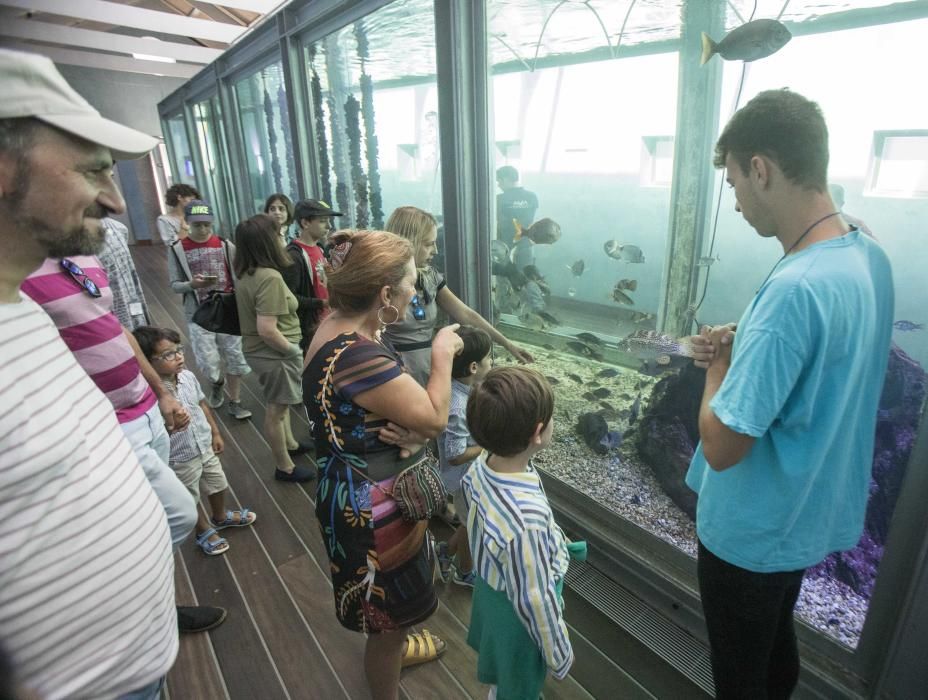 El acuario del Museo do Mar muestra a los visitantes cómo se alimenta a los peces.