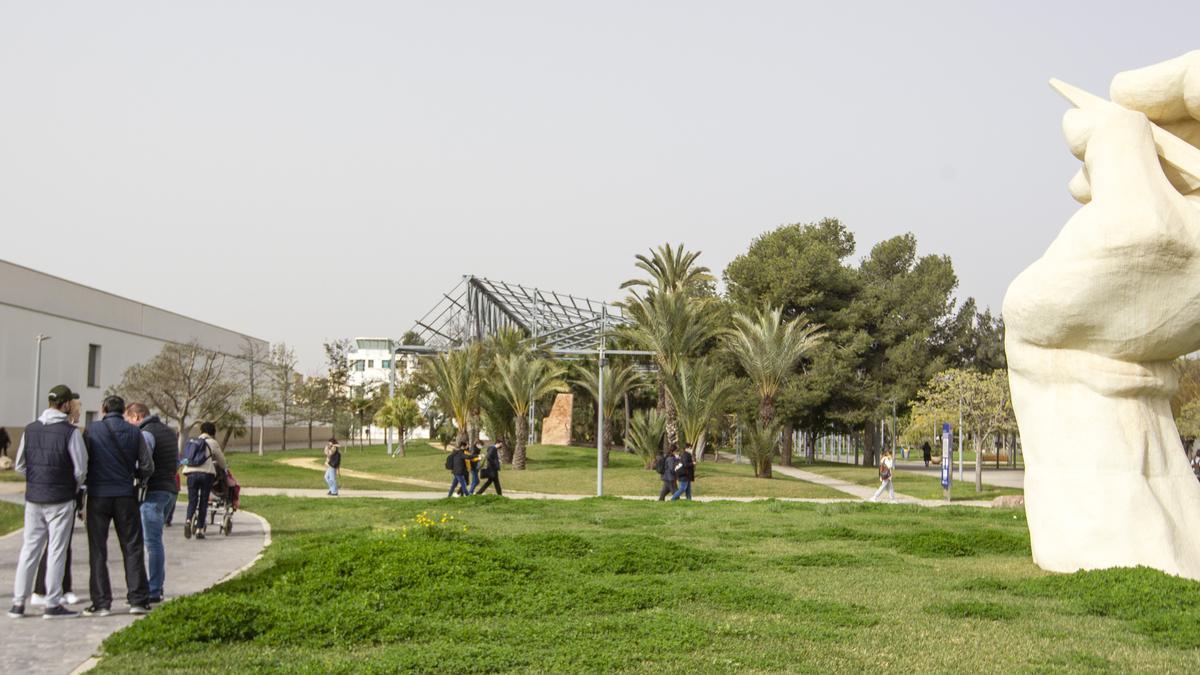 Estudiantes pasean por el campus de la Universidad de Alicante