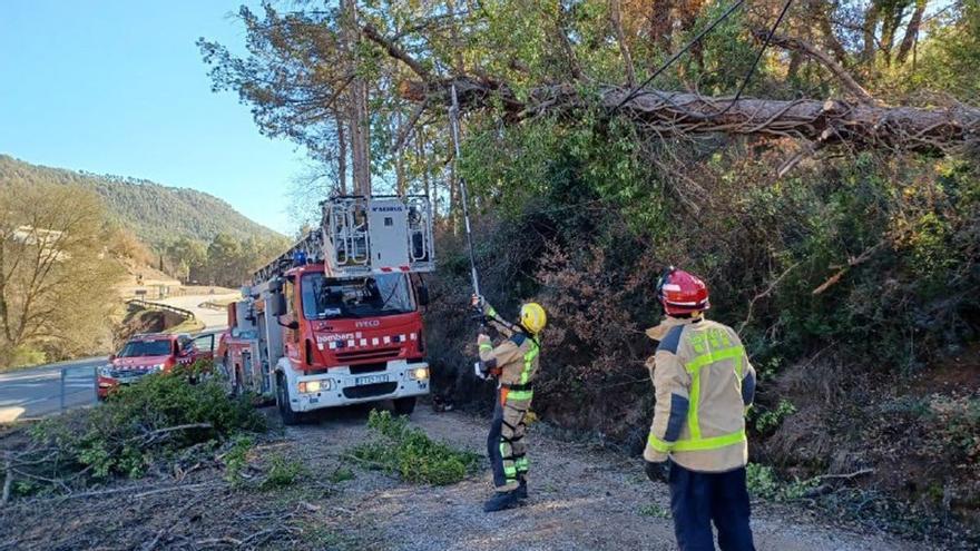 Un arbre cau sobre cablejat elèctric a Canet de Fals a causa del vent