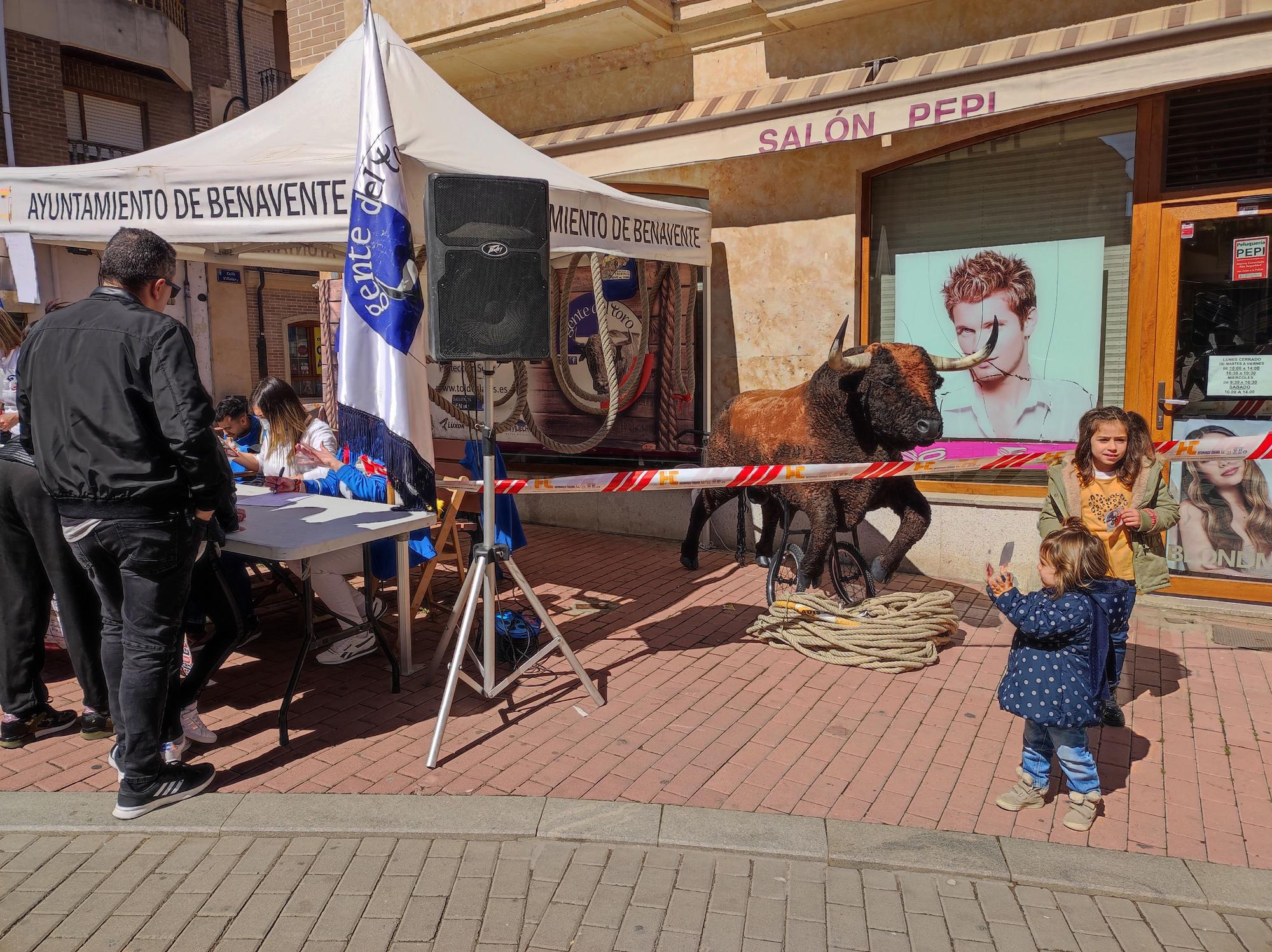 Imperioso, el carretón gigante de la Escuelas Taurinas de Benavente