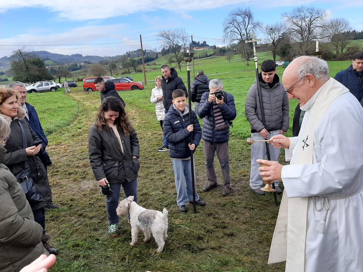 Robledo, en Llanera, bendice a sus mascotas por San Antón