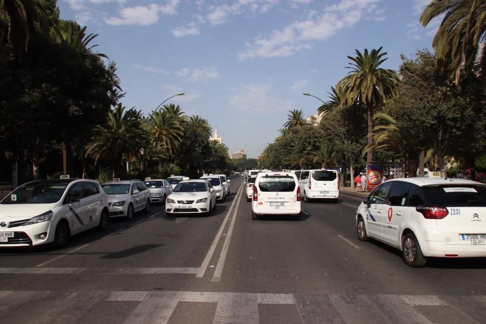 Los taxistas, acampados en el Paseo del Parque en una acción similar a las del Paseo de la Castellana de Madrid o la Gran Vía de Barcelona