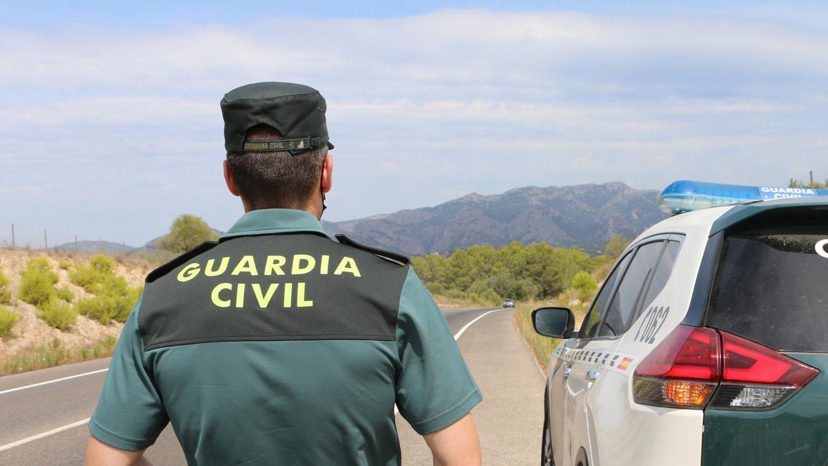 Un agente de la Guardia Civil junto a un vehículo en una carretera.