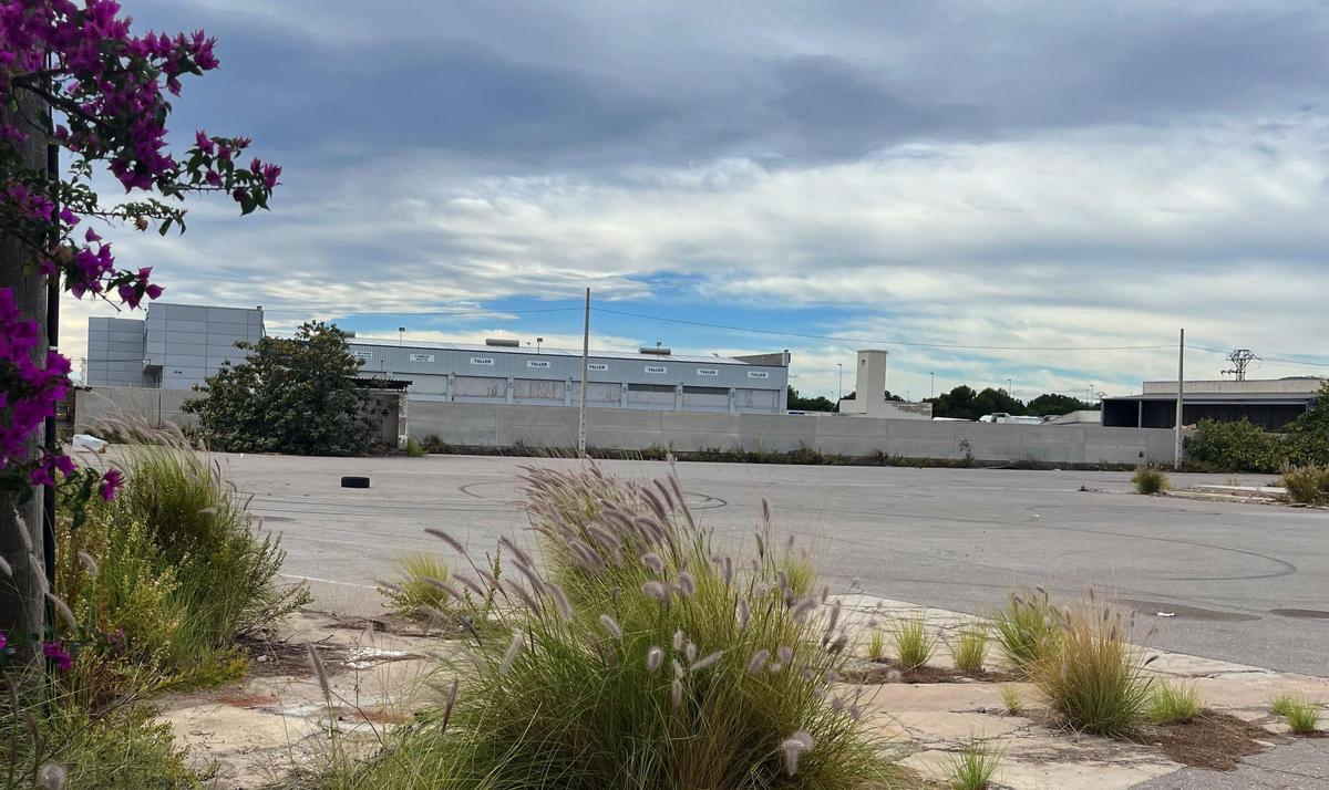 En el firme del solar de una antigua empresa cerámica se pueden identificar las marcas de los neumáticos y ruedas.