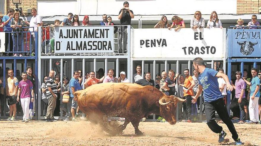 Almassora brinda a los aficionados 14 toros de encastes muy variados