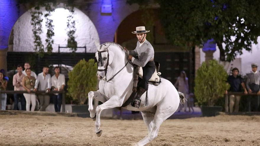 El jinete onubense Álvaro Tebas se corona de nuevo en Córdoba