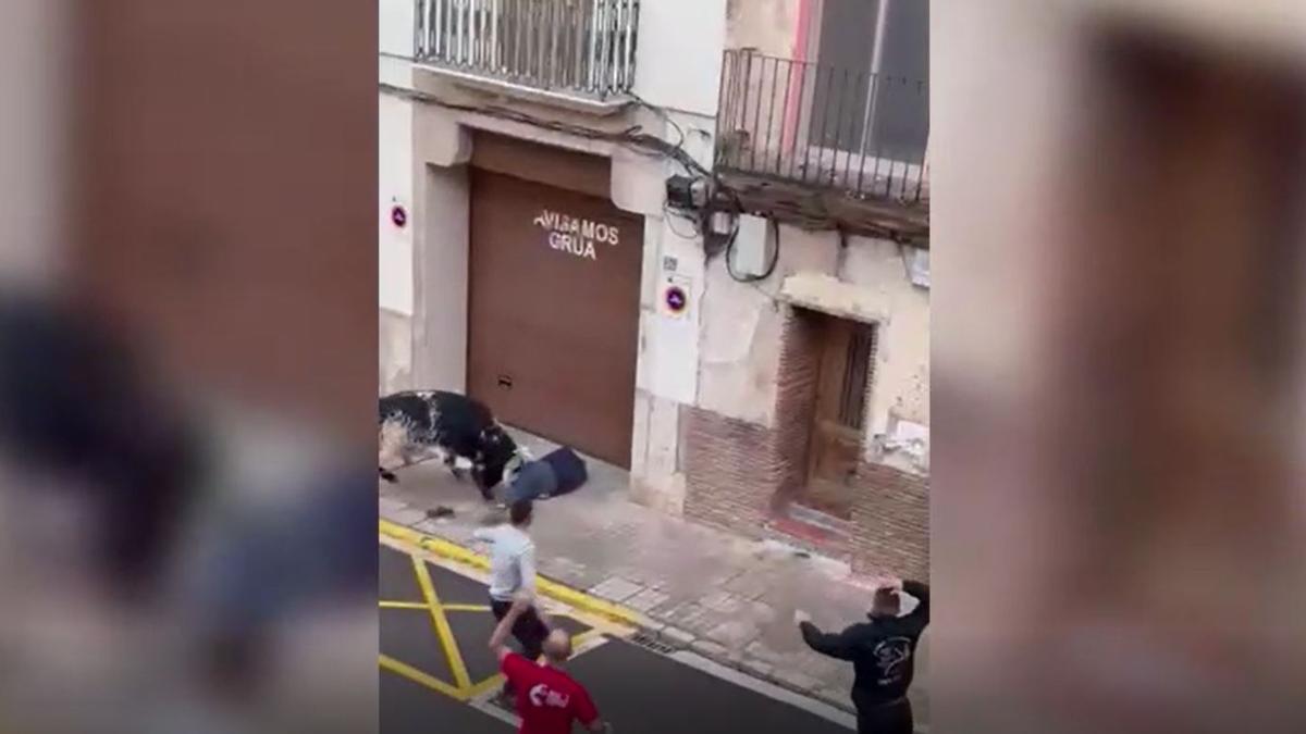 Un hombre de 82 años herido en el Bou en corda de Ontinyent