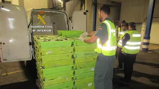 La Guardia Civil denuncia a un vecino de Moaña por llevar 1.000 kilos de sardinas sin papeles en su furgoneta