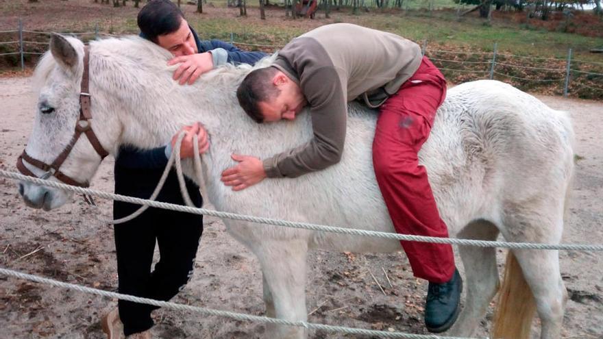 Dos reclusos en semilibertad de Pereiro, durante una terapia con caballos. // Apes