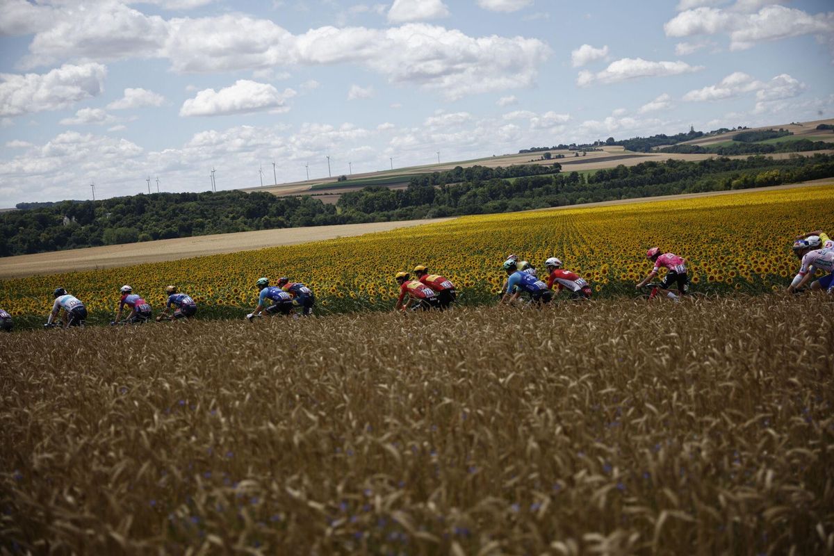 (France), 08/07/2025.- The peloton in action during the 4th stage of the Tour de France cycling race over 174.2km from Amiens to Rouen, France, 08 July 2025. (Ciclismo, Francia) EFE/EPA/MARTIN DIVISEK