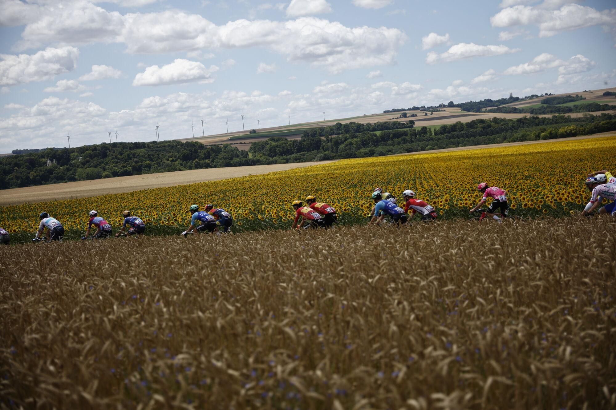 (France), 08/07/2025.- The peloton in action during the 4th stage of the Tour de France cycling race over 174.2km from Amiens to Rouen, France, 08 July 2025. (Ciclismo, Francia) EFE/EPA/MARTIN DIVISEK