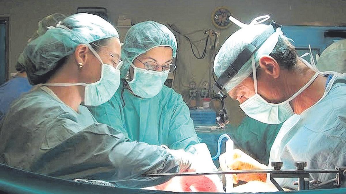 Varios sanitarios durante una operación para proceder a un trasplante, en un hospital español