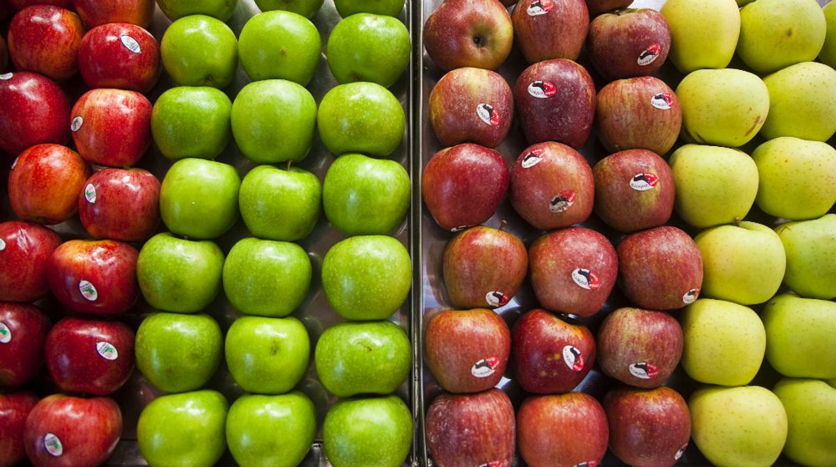¿Cuántas manzanas conoces de las más de 7.500 variedades que existen?