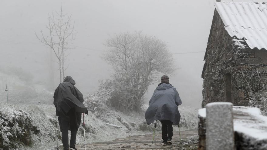Muntanyencs durant la nevada a Pedrafita, el 20 de novembre del 2025, a Lugo, Galícia (Espanya).