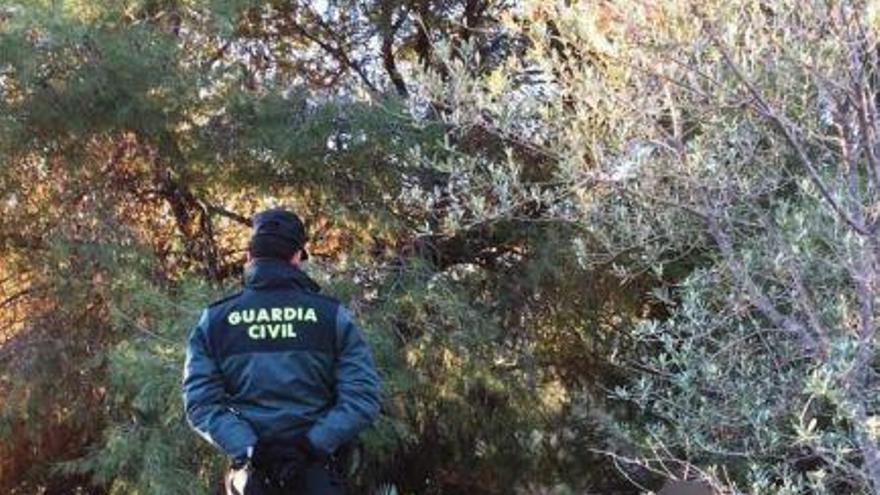 Localizado un vecino de la Llosa tras dos días desaparecido