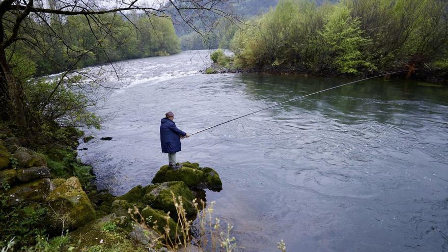 Más de 4.000 pescadores salen a los ríos en busca del salmón, con la lluvia como amenaza para el campanu