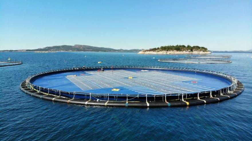 Probarán en Canarias una planta de energía solar flotante