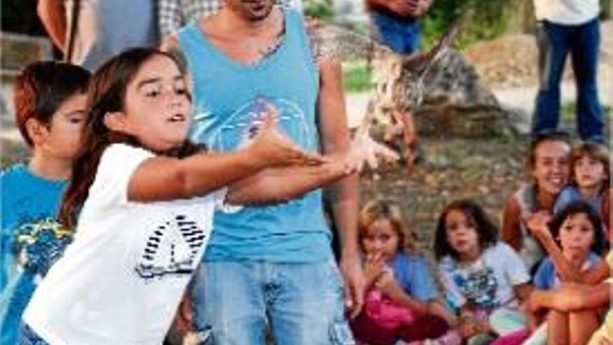 Alliberament ahir de xots a les Sant Martí Vell.