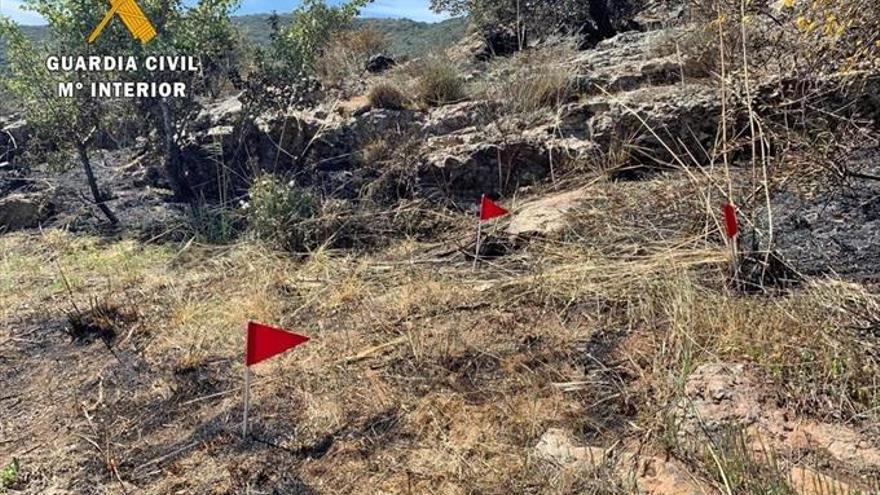 Esclarecido el incendio forestal en la Sierracha