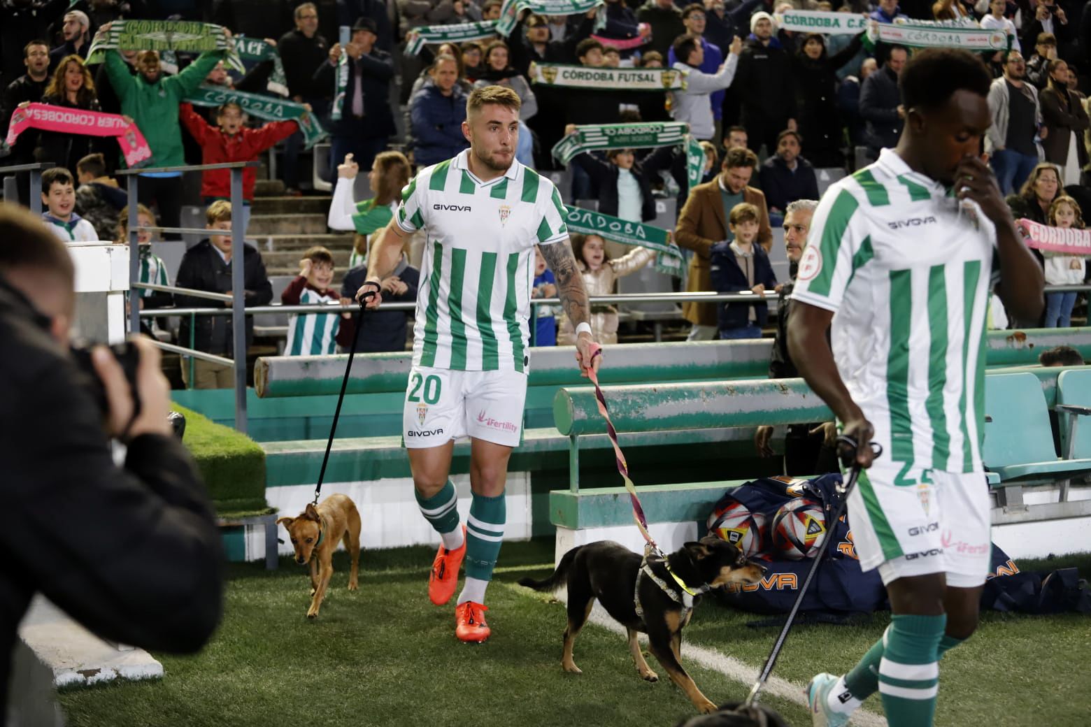 Córdoba CF-Castellón: las imágenes del partido en El Arcángel