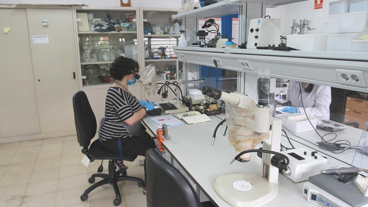 Personal del museo trabajando en el laboratorio.