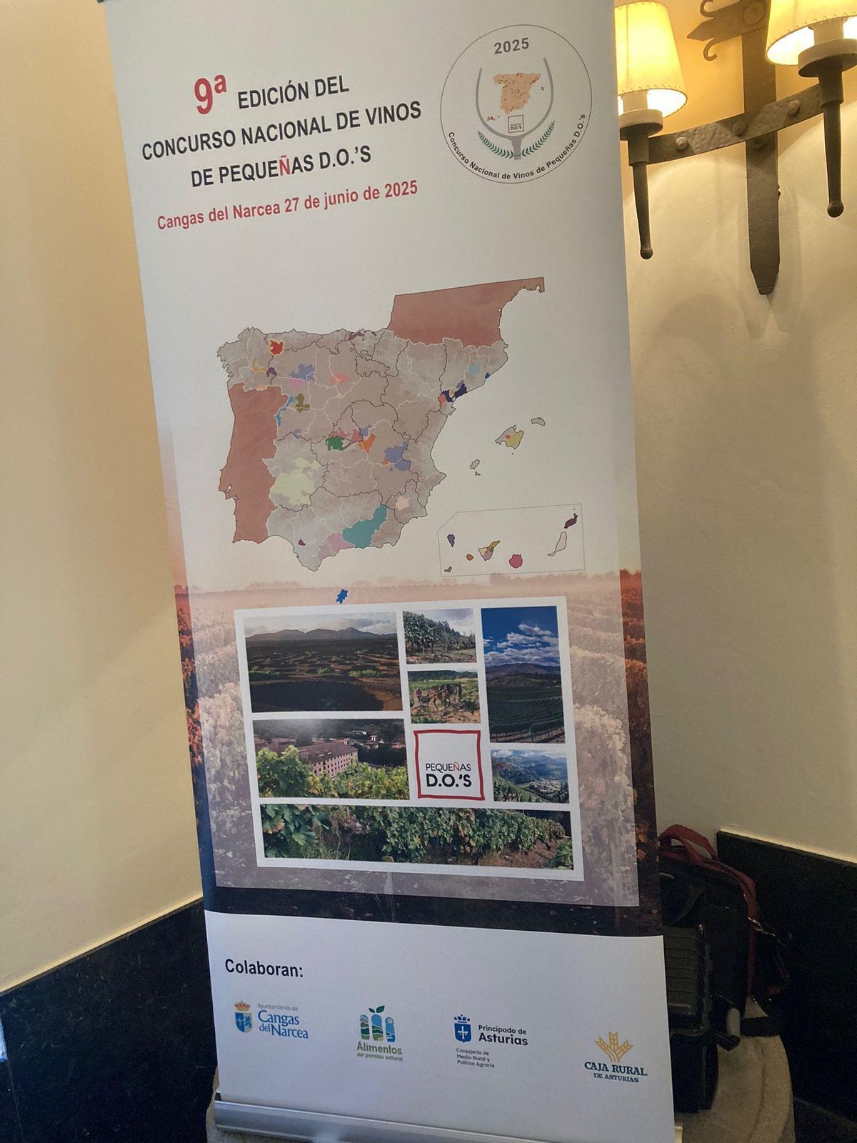 Cartel de los organizadores, donde destaca el mapa de las pequeñas Denominaciones de Origen de vinos.