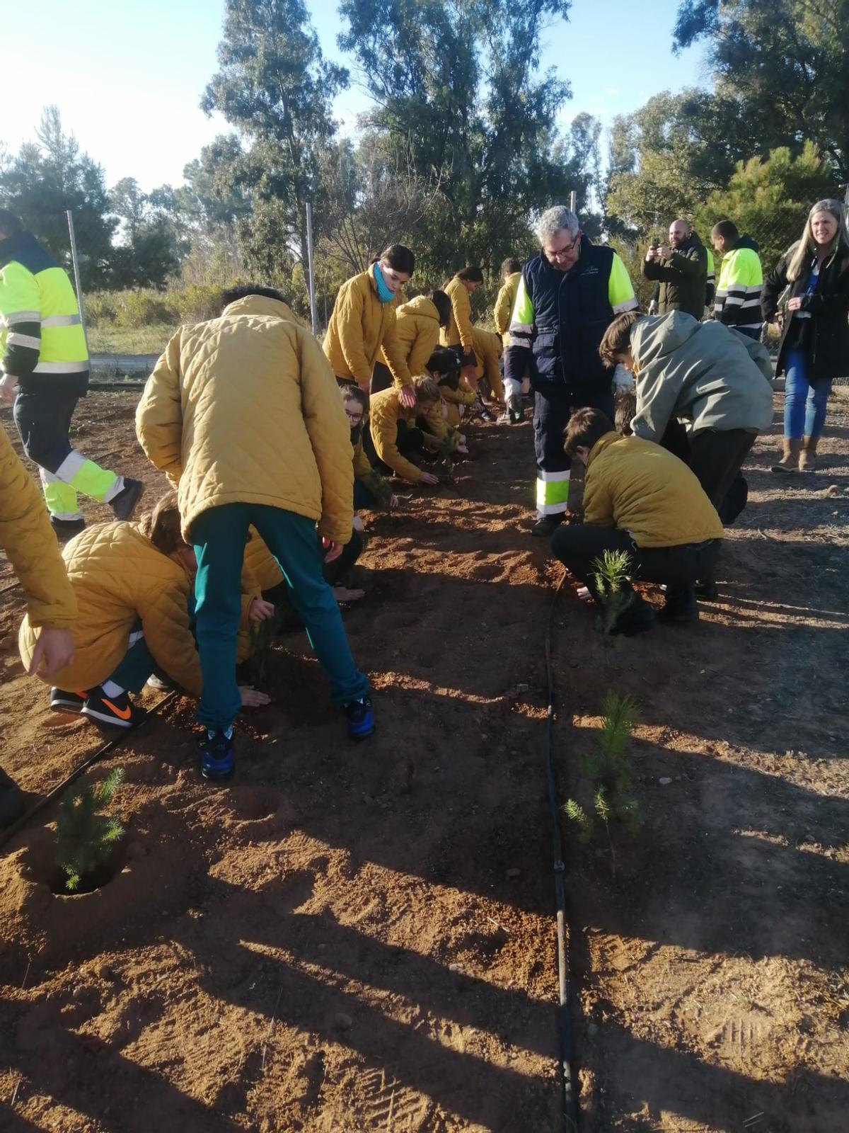 Estudiantes plantando árboles
