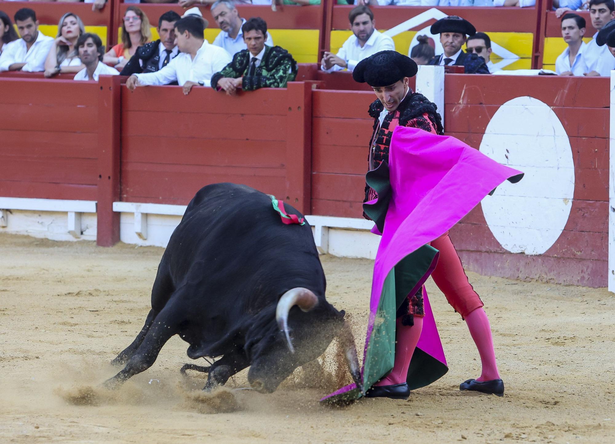 Novillada de Zacarías Moreno para cerrar la Feria de Hogueras