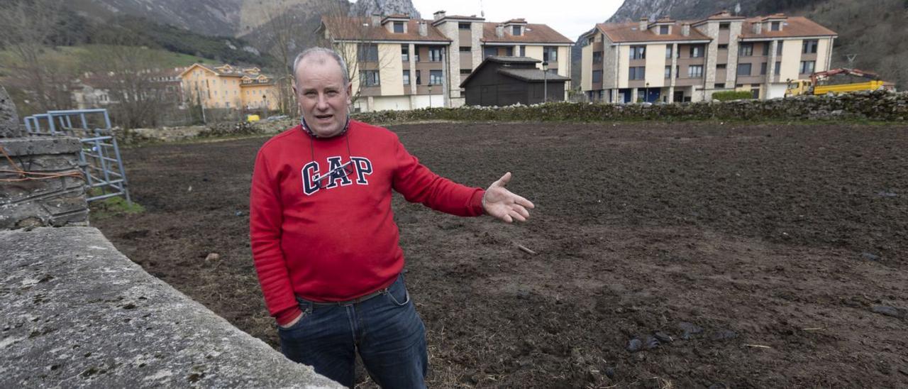 El ganadero Juan Vicente Vallines, en la finca de Arenas (Cabrales) en la que dejaba los animales. | Miki López