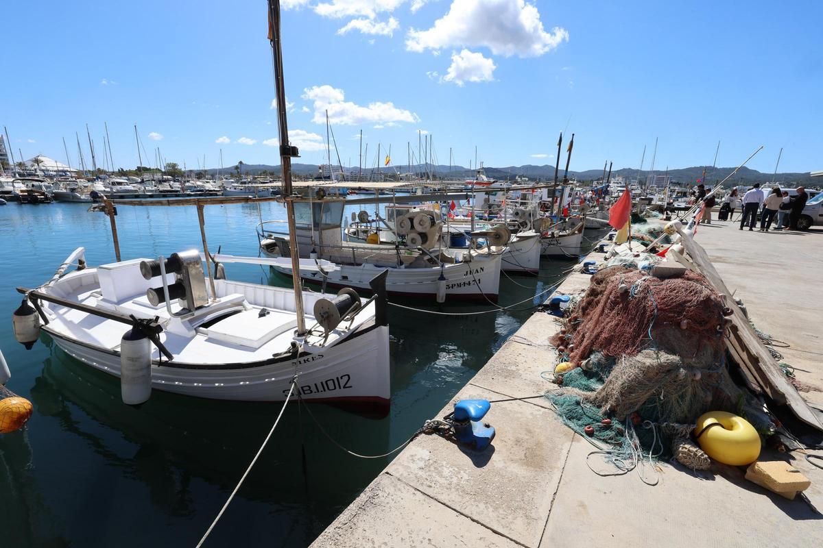 La VIII Fira del Peix i del Marisc en imágenes La VIII Fira del Peix i del Marisc en imágenes