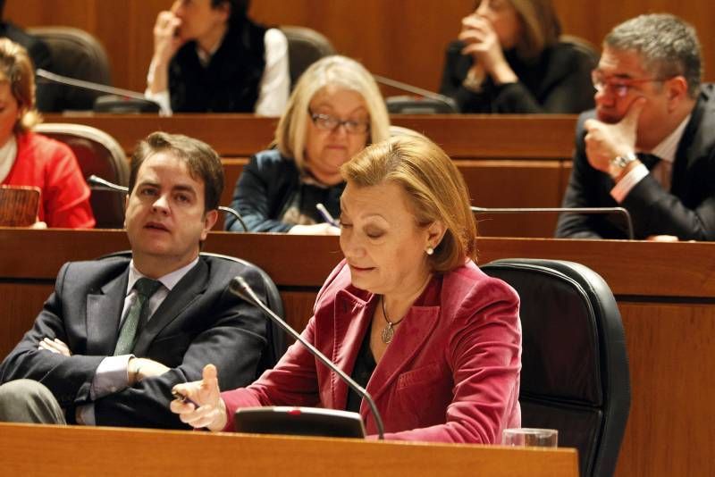 Fotogalería: Pleno Cortes de Aragón