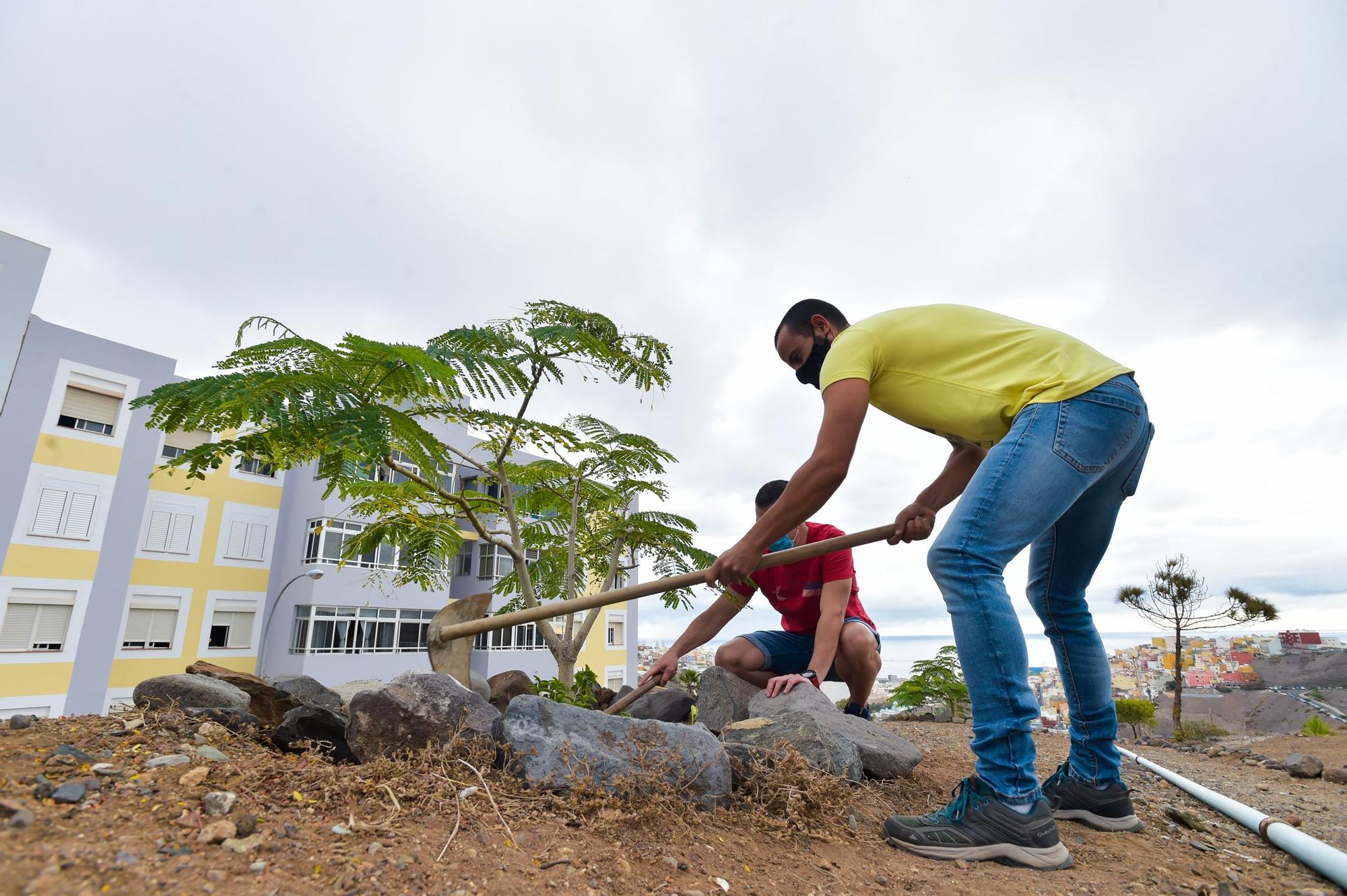 Unos vecinos plantan en un terreno yermo de El Batán