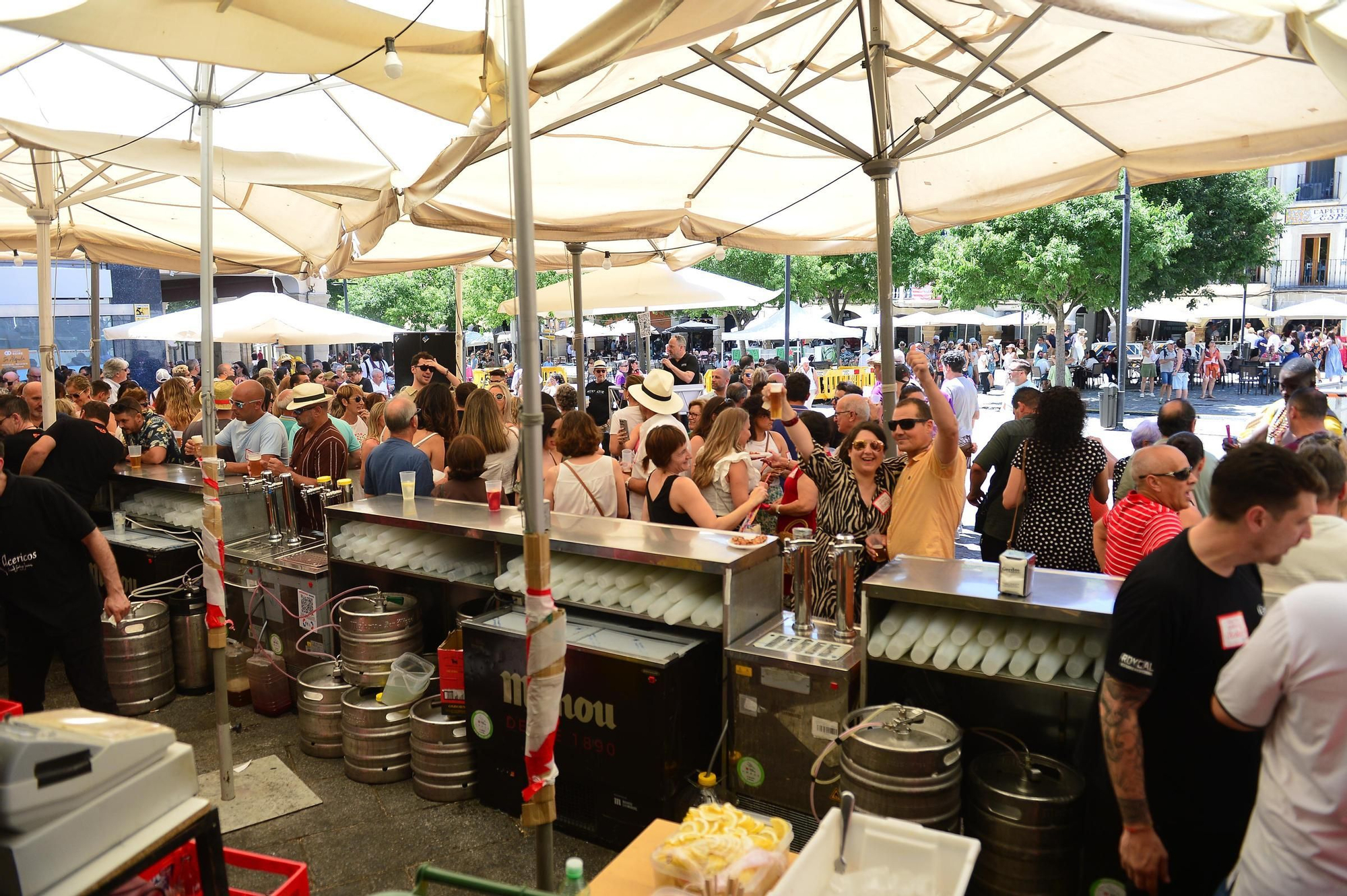 FOTOGALERÍA | Búscate en las cañas del sábado de feria en Plasencia