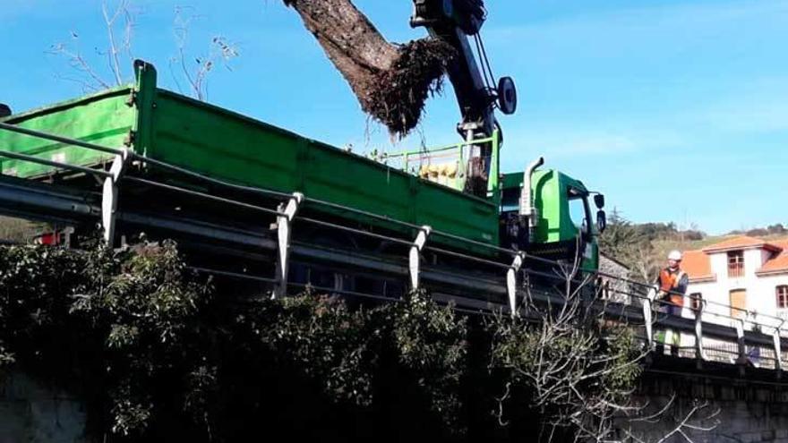 Comienzan las labores de limpieza del río Nora a su paso por Oviedo