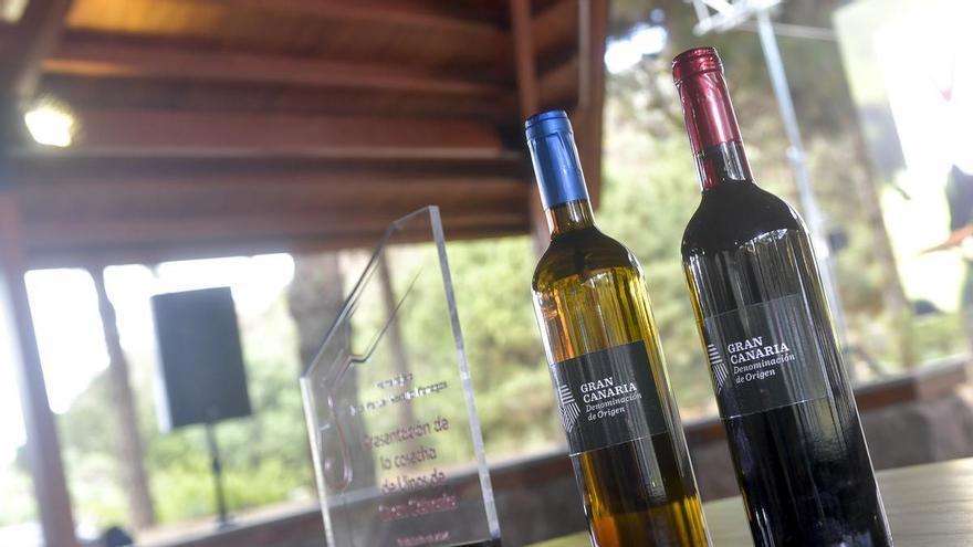 Tejeda reúne a ocho bodegas isleñas en su fiesta del vino canario