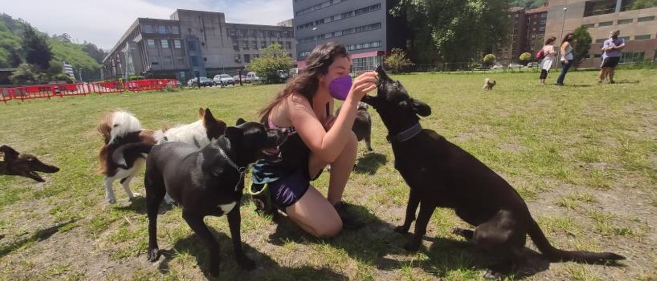 Alba Martínez juega con “Moli”, entre otros animales. | A. Velasco