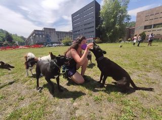 "Yes de Mieres, tienes perru": La actividad para educar a las mascotas