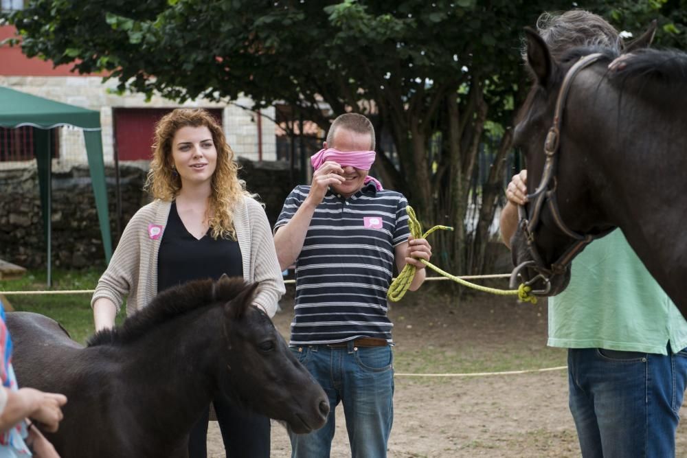 'Coaching' con caballos para empresarios