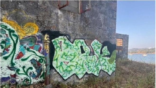 Los grafitis realizados en la antigua fábrica de Ameixide en O Hío.