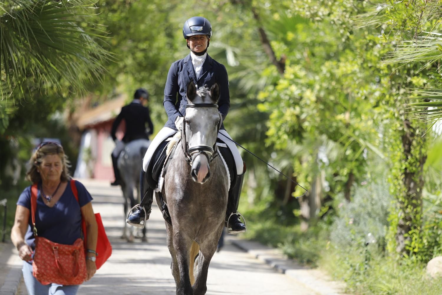 Campeonato de Europa del Caballo Lusitano